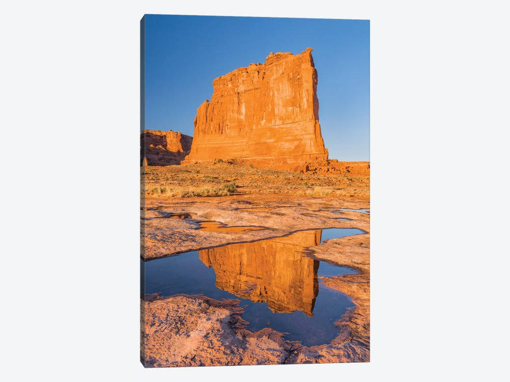 The Organ Reflected in Pool, Arches National Park, Utah Print Y11991