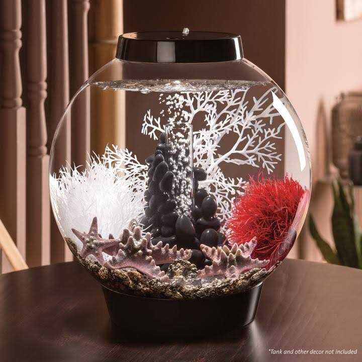 60 Aquarium with LED I214
