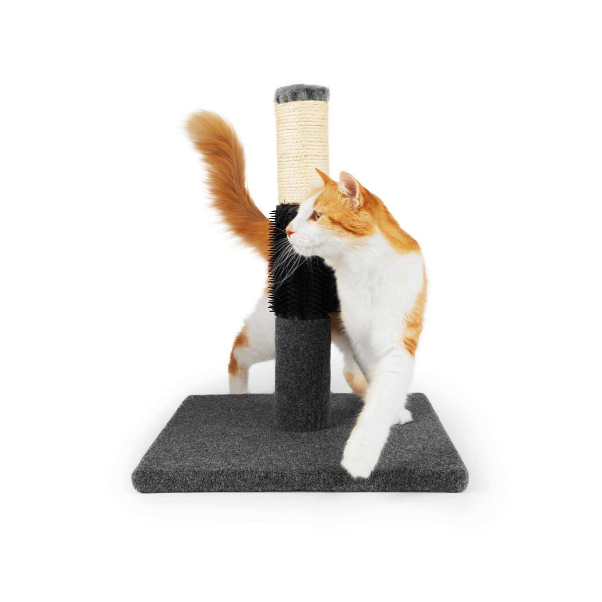 Cat Scratch Post A9689