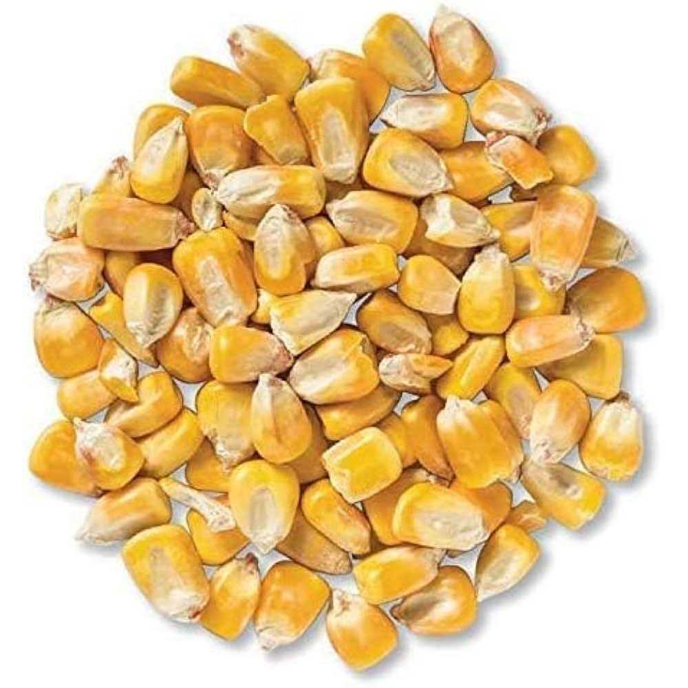 Whole Corn for Wildlife Feeding J35974