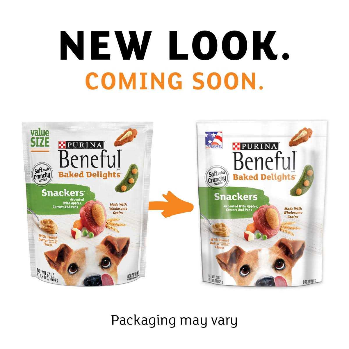 Dog Treats T649545