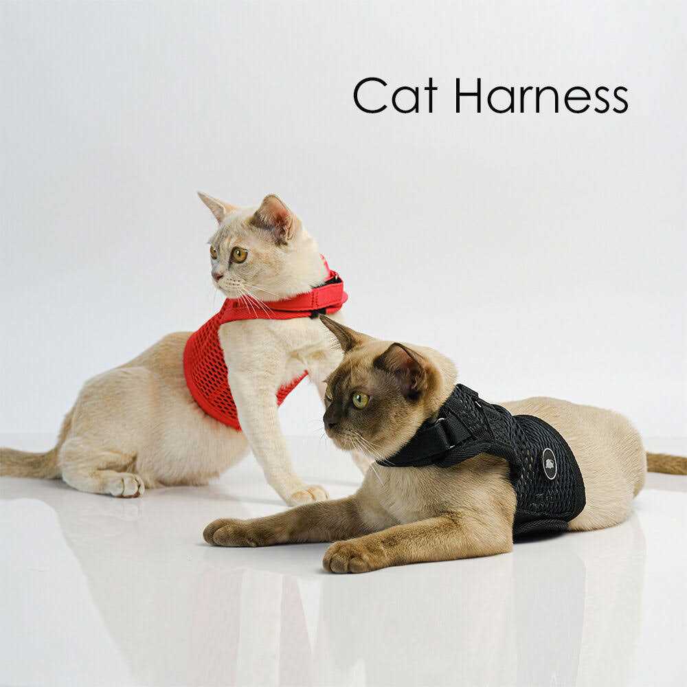 Cat Harness P842
