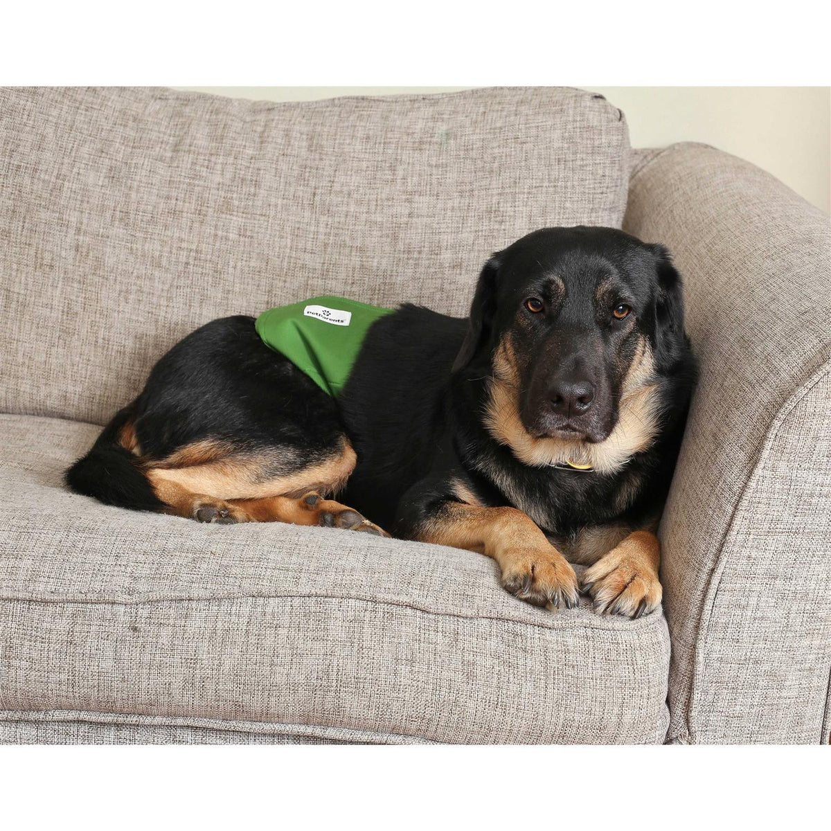 Washable Dog Belly Bands F7935