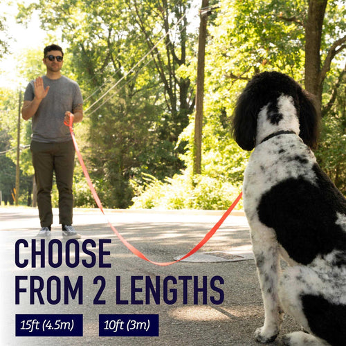 10 Foot Dog Leash with Padded Handle H89106