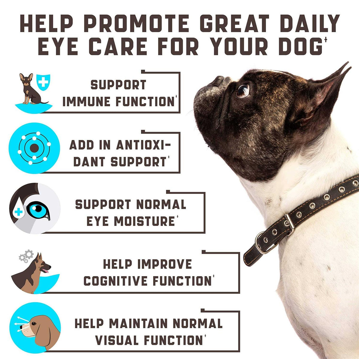 Dog Eye Vitamins Supplement J406
