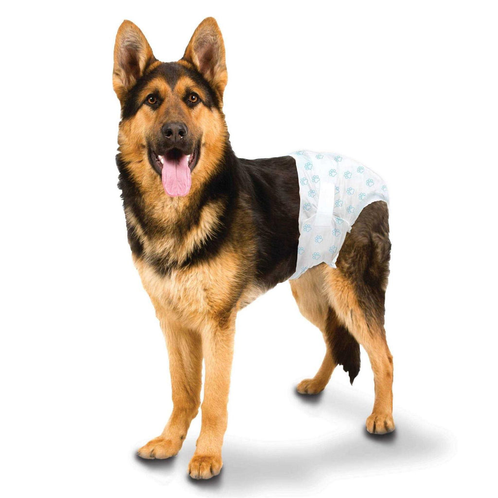 Disposable Diapers Q478028