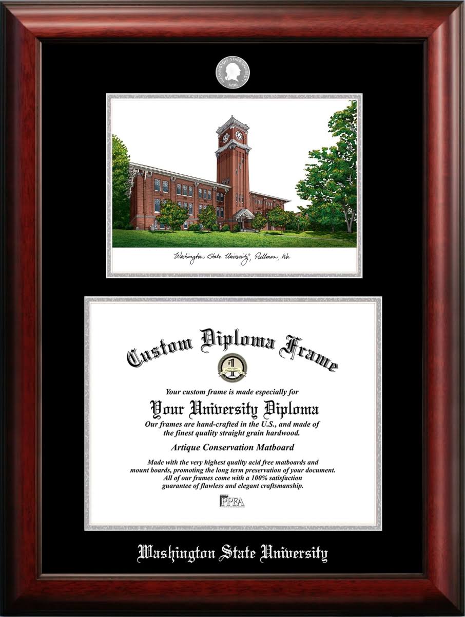 Silver Embossed Diploma Frame with Lithograph S637340