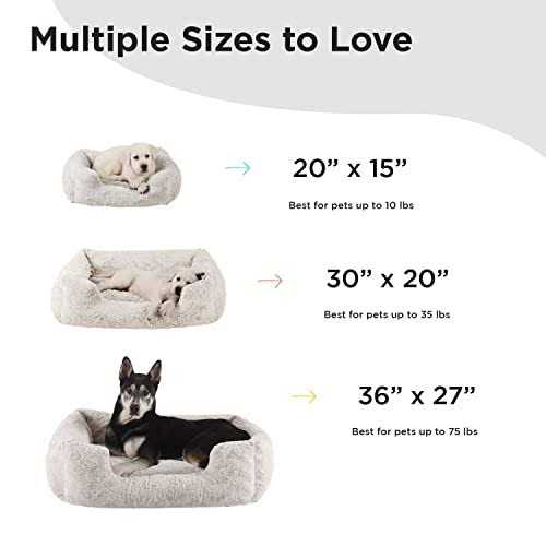 Rectangular Dog Bed X7277