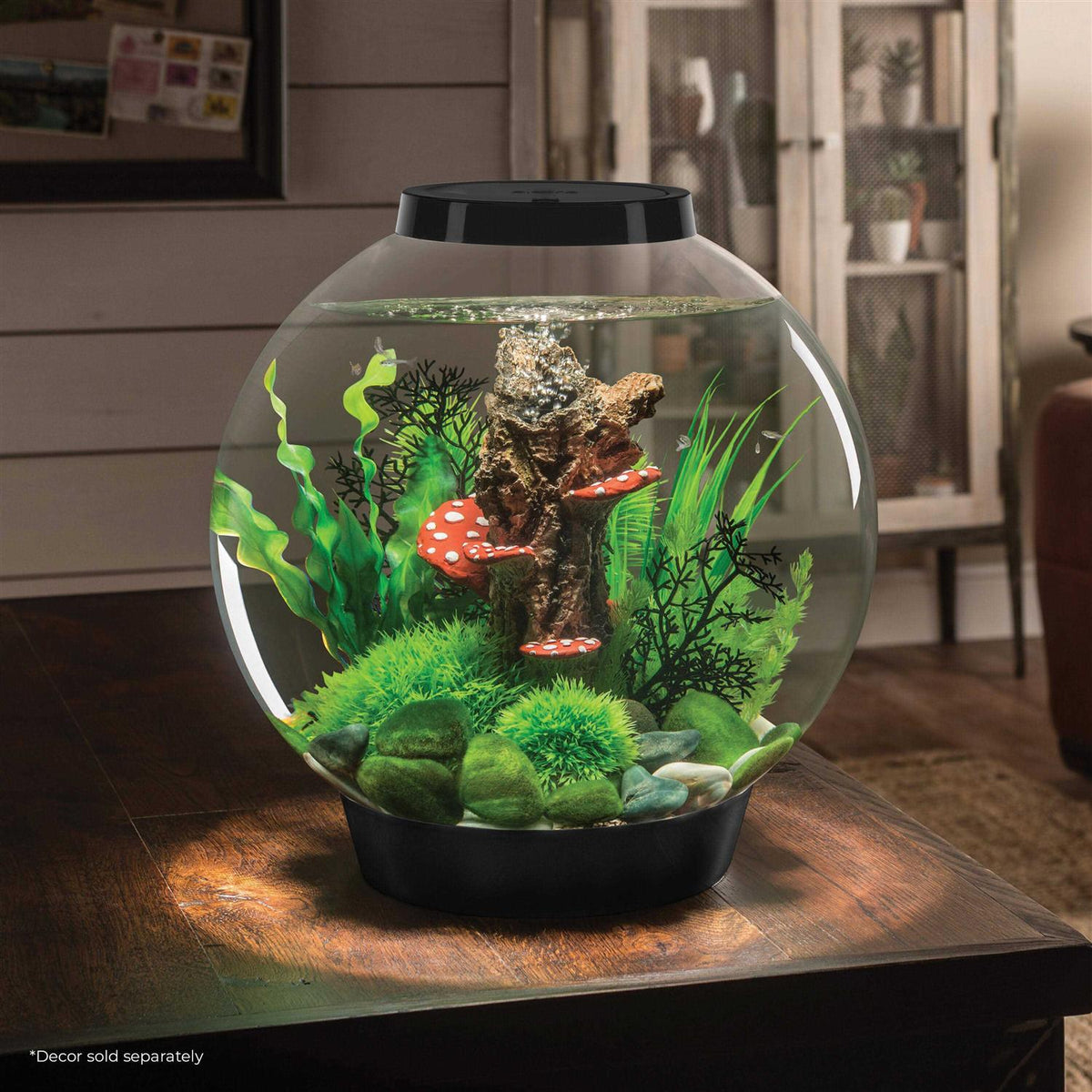 60 Aquarium with LED I214