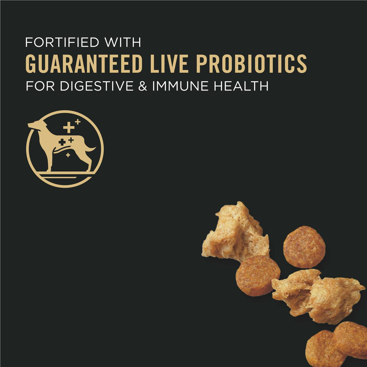 Chicken & Rice Dry Dog Food P952945