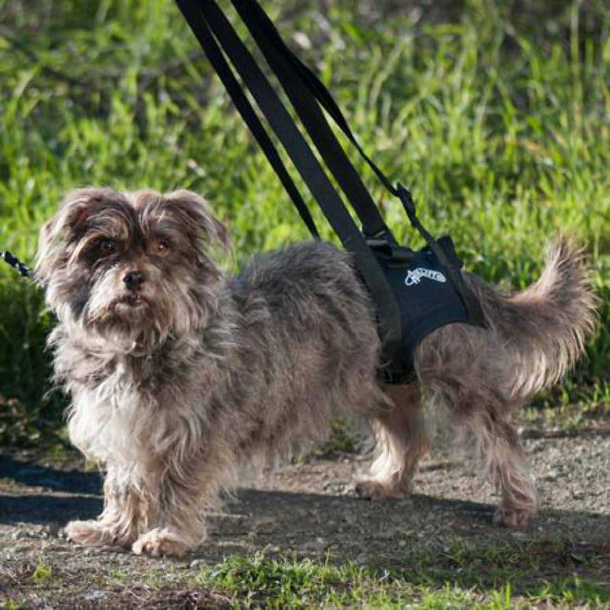Support Harness F876687