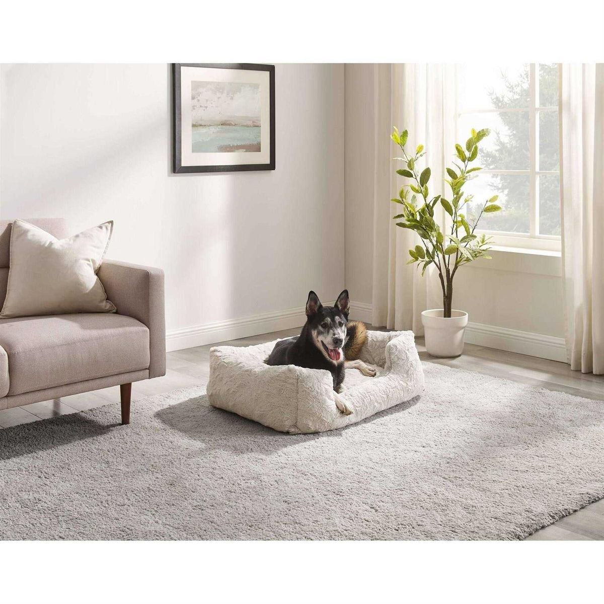 Rectangular Dog Bed X7277