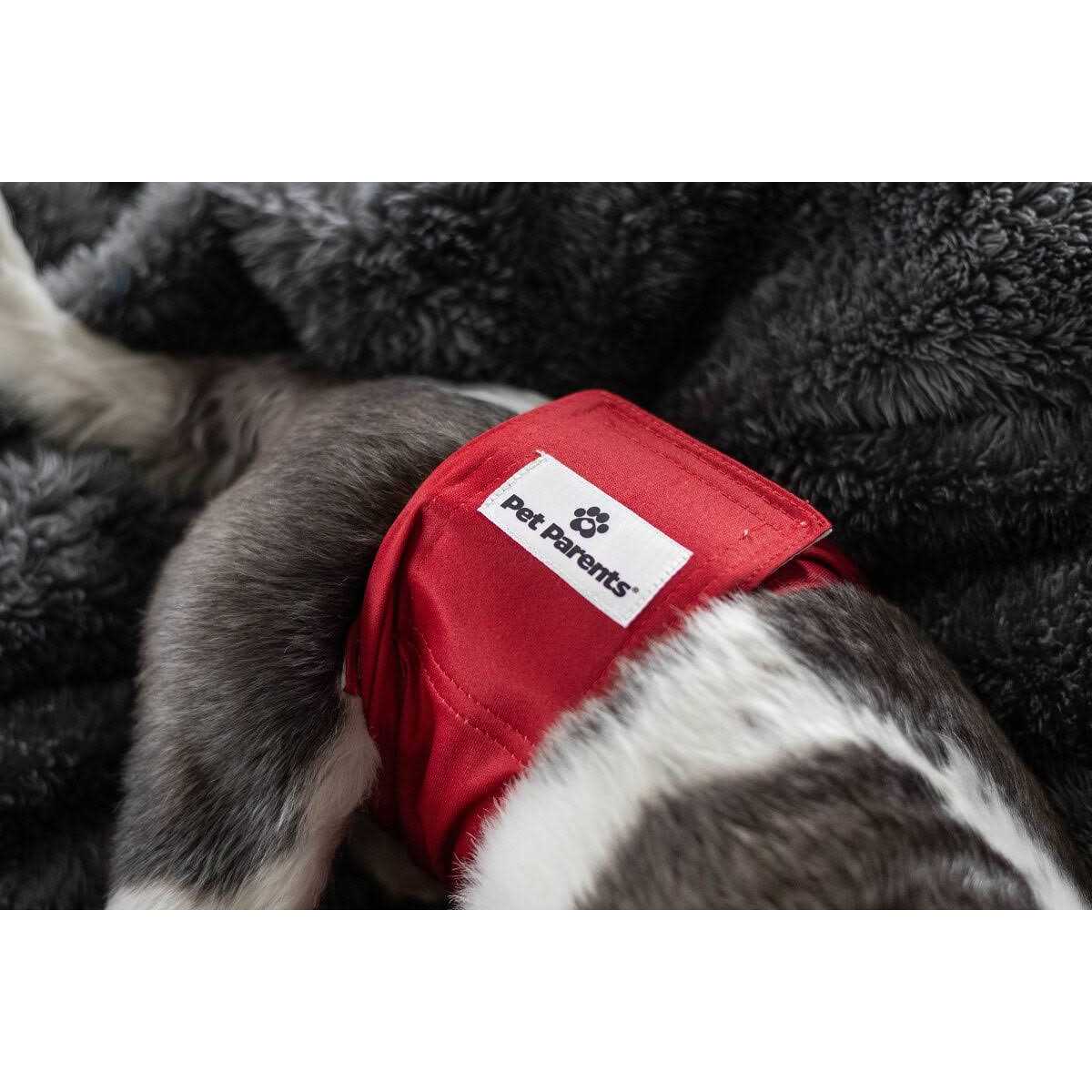 Washable Dog Belly Bands F7935