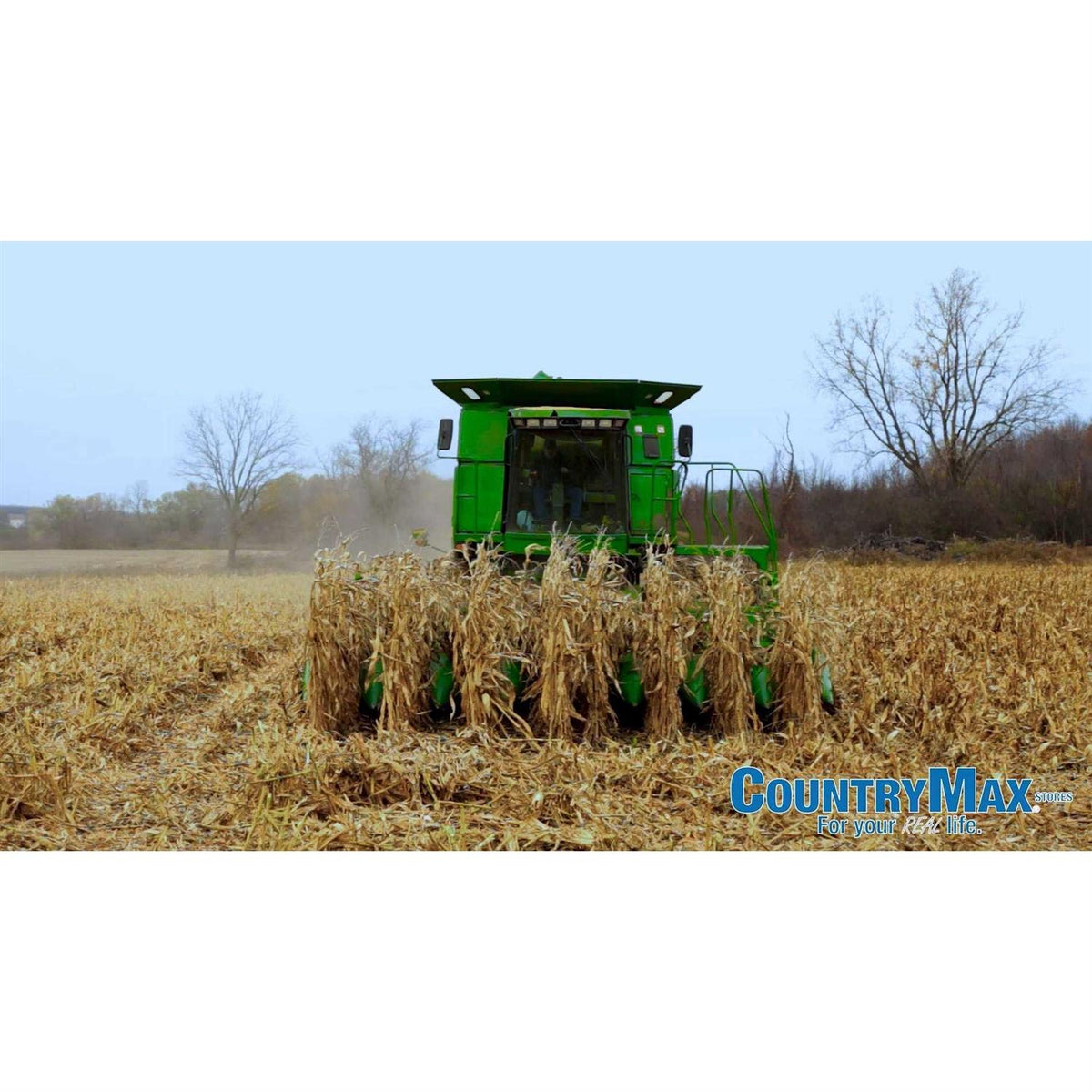 Whole Corn for Wildlife Feeding J35974