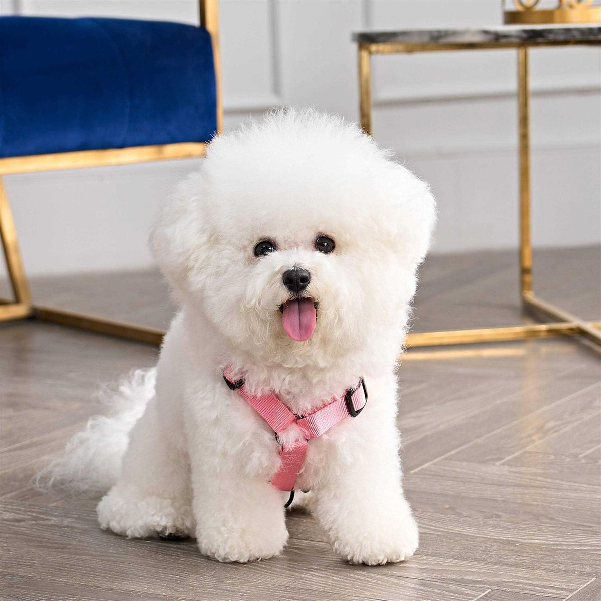 Velour Pet Harness and Leash Set U280