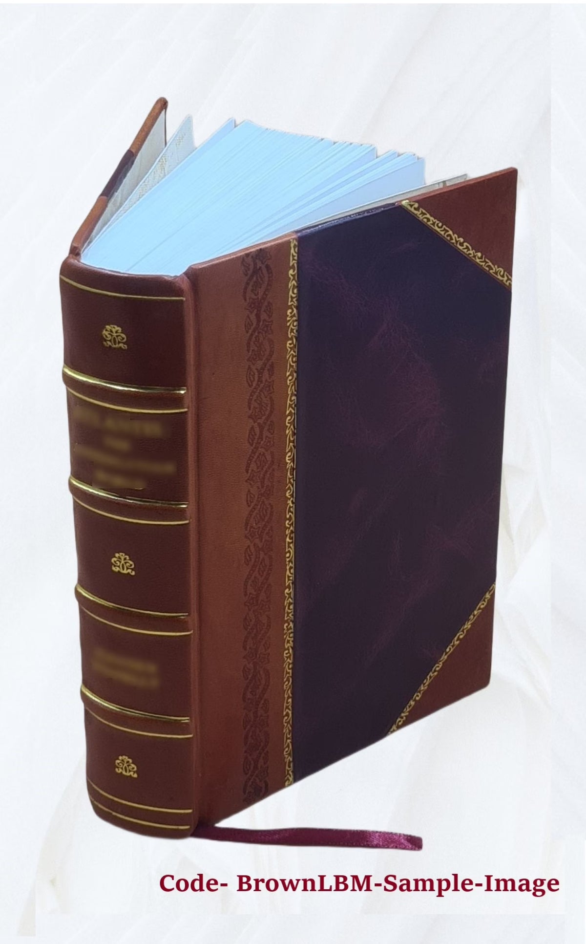 Leather Bound Book H241681