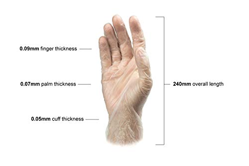 Clear Vinyl Exam Gloves, Extra-Large, Pack of 1000 O4444