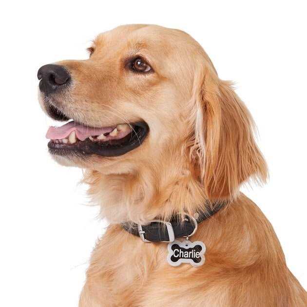 Anodized Aluminum Personalized Dog ID Tag O66153