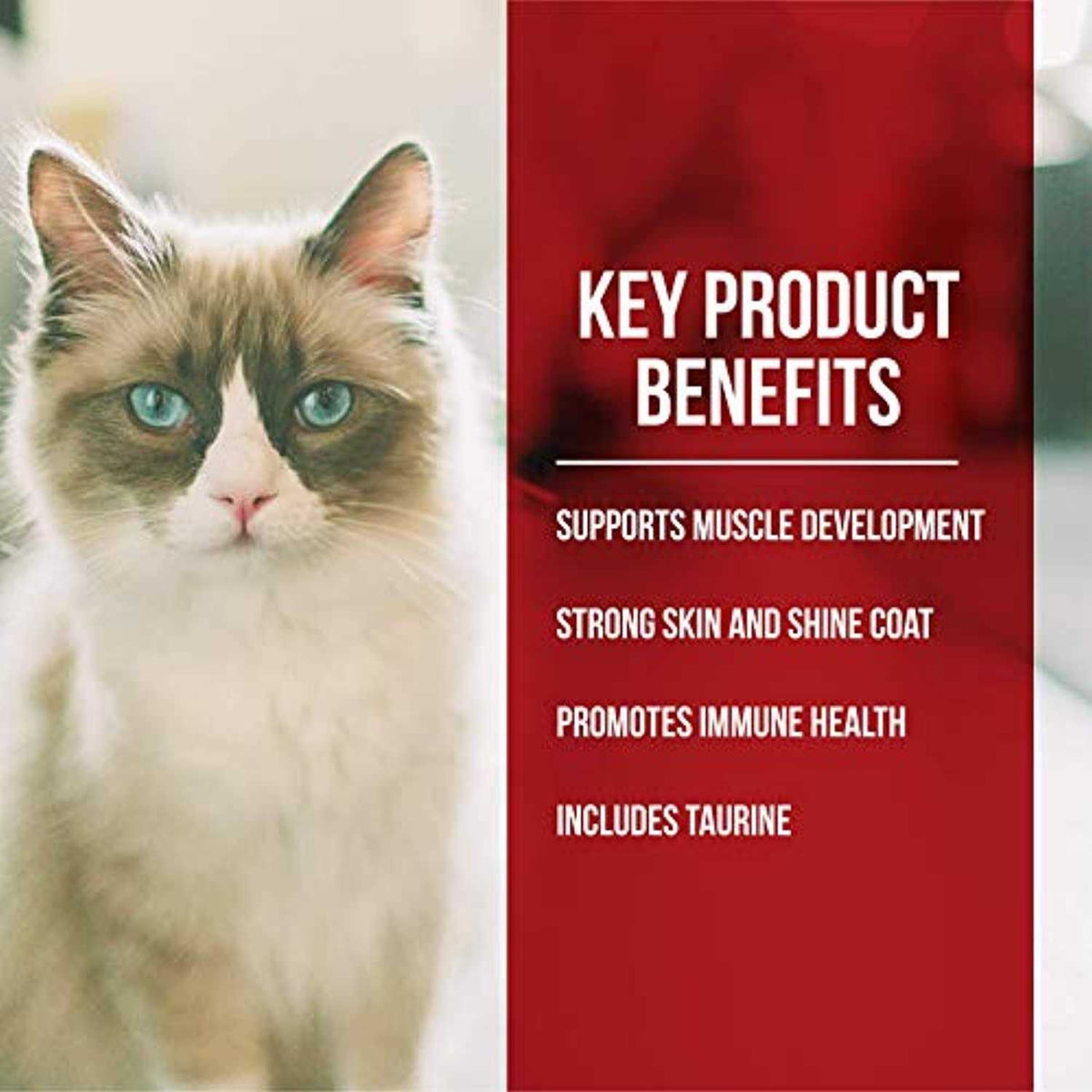 Dry Cat Food Chicken Turkey K9872