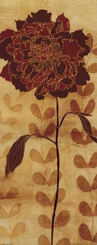 Canvas S242