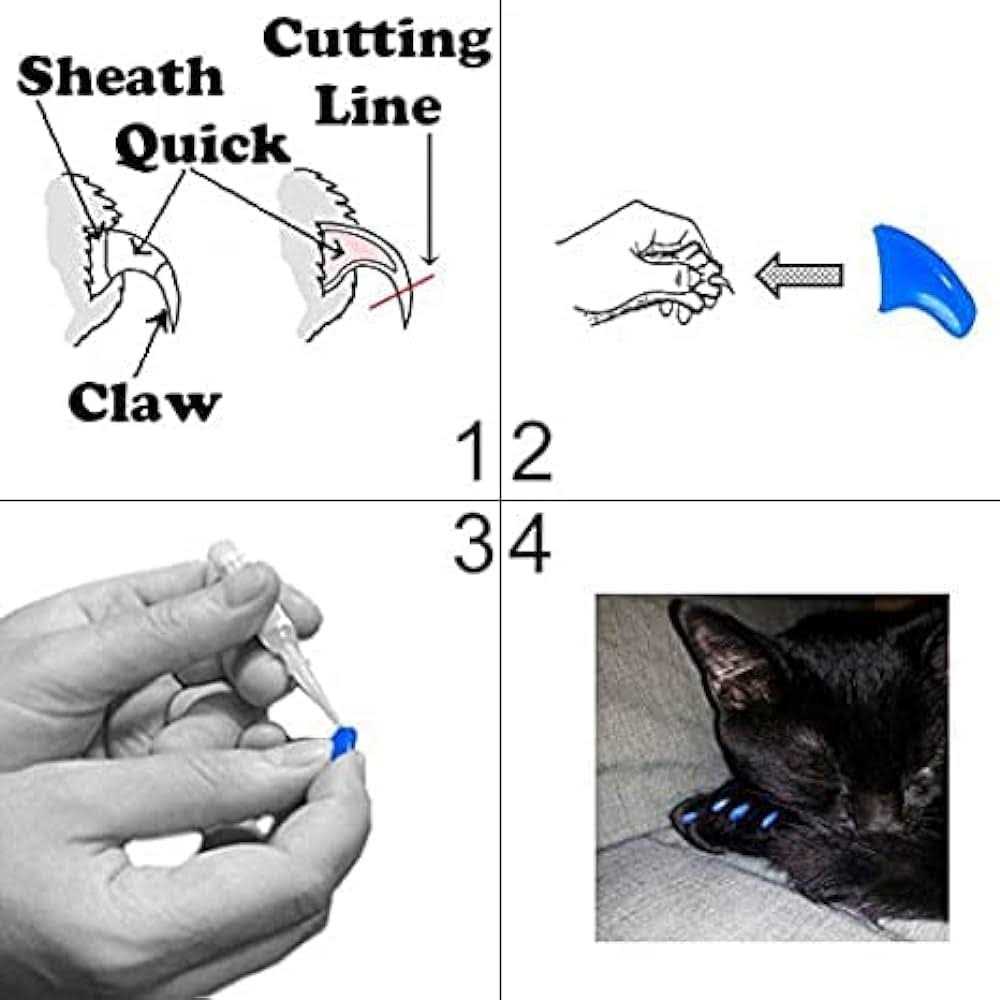Soft Nail Caps for Cats V8905