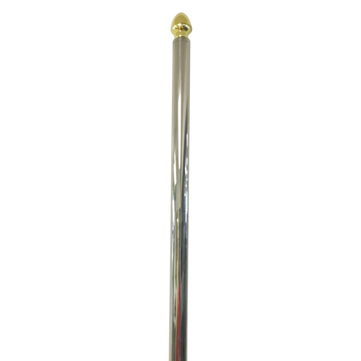 Heavy Duty Parade Flag Pole S3419