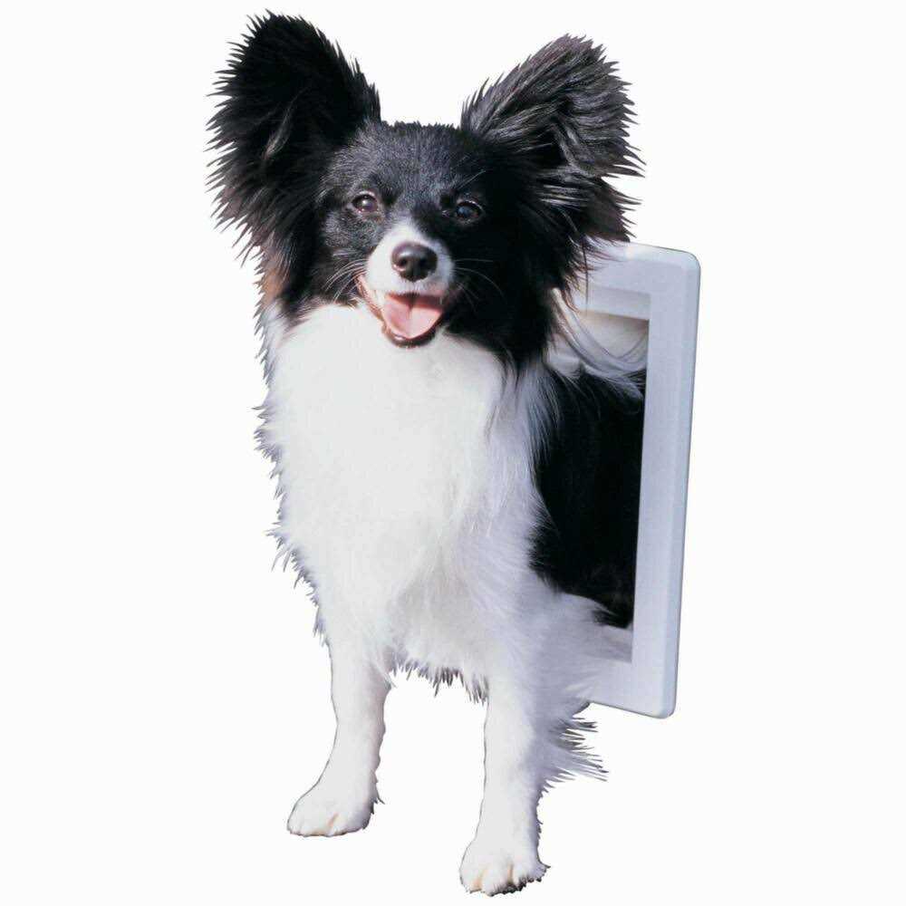 Aluminum Sash Pet Door E841476