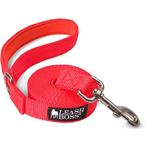 10 Foot Dog Leash with Padded Handle H89106