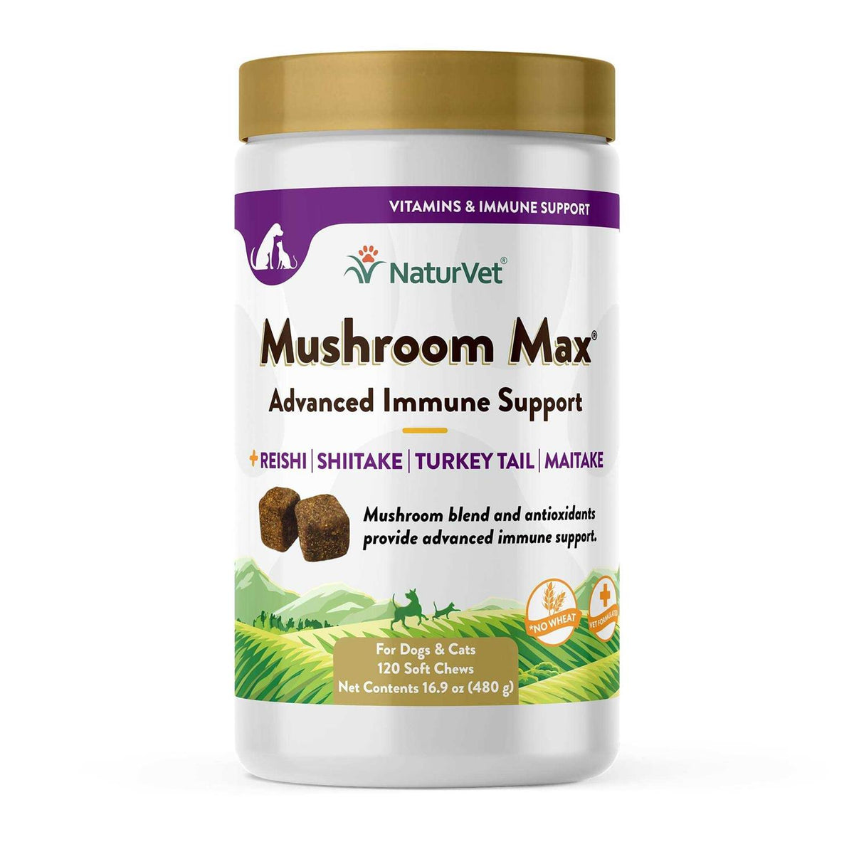 Mushroom Max Immune Support Soft Chews for Dogs & Cats K61543