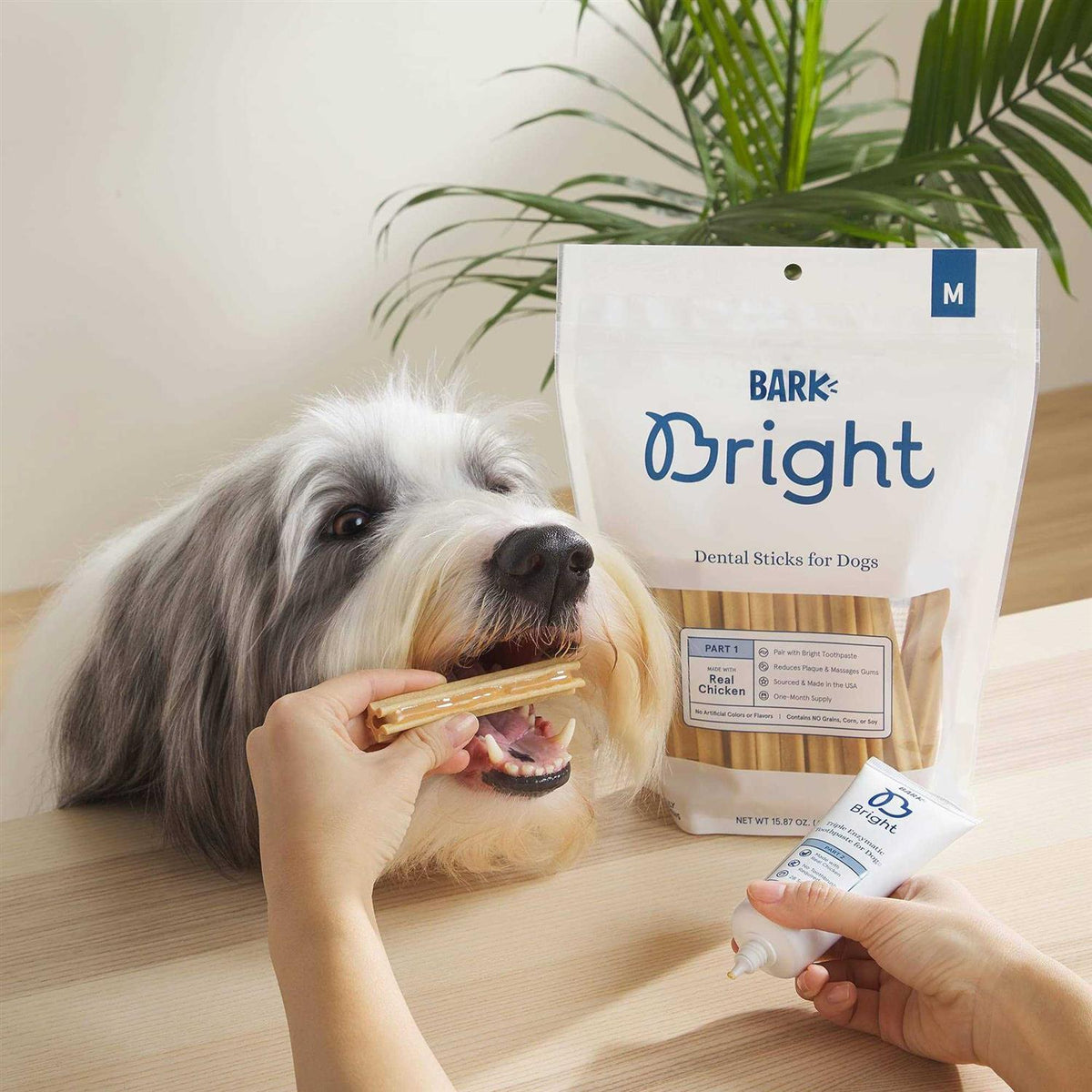 Dental Sticks for Large Dogs Chews J225644
