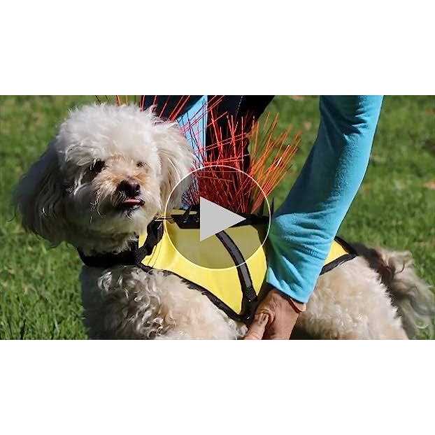 Nylon Bristles Dog Harness Vest Z13402
