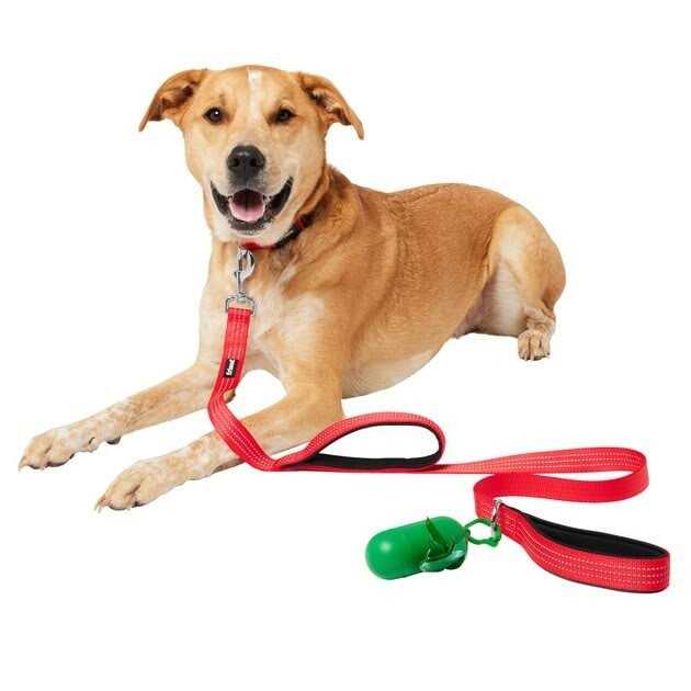Traffic Leash with Dual Padded Handles & Poop Bag Dispenser Q111