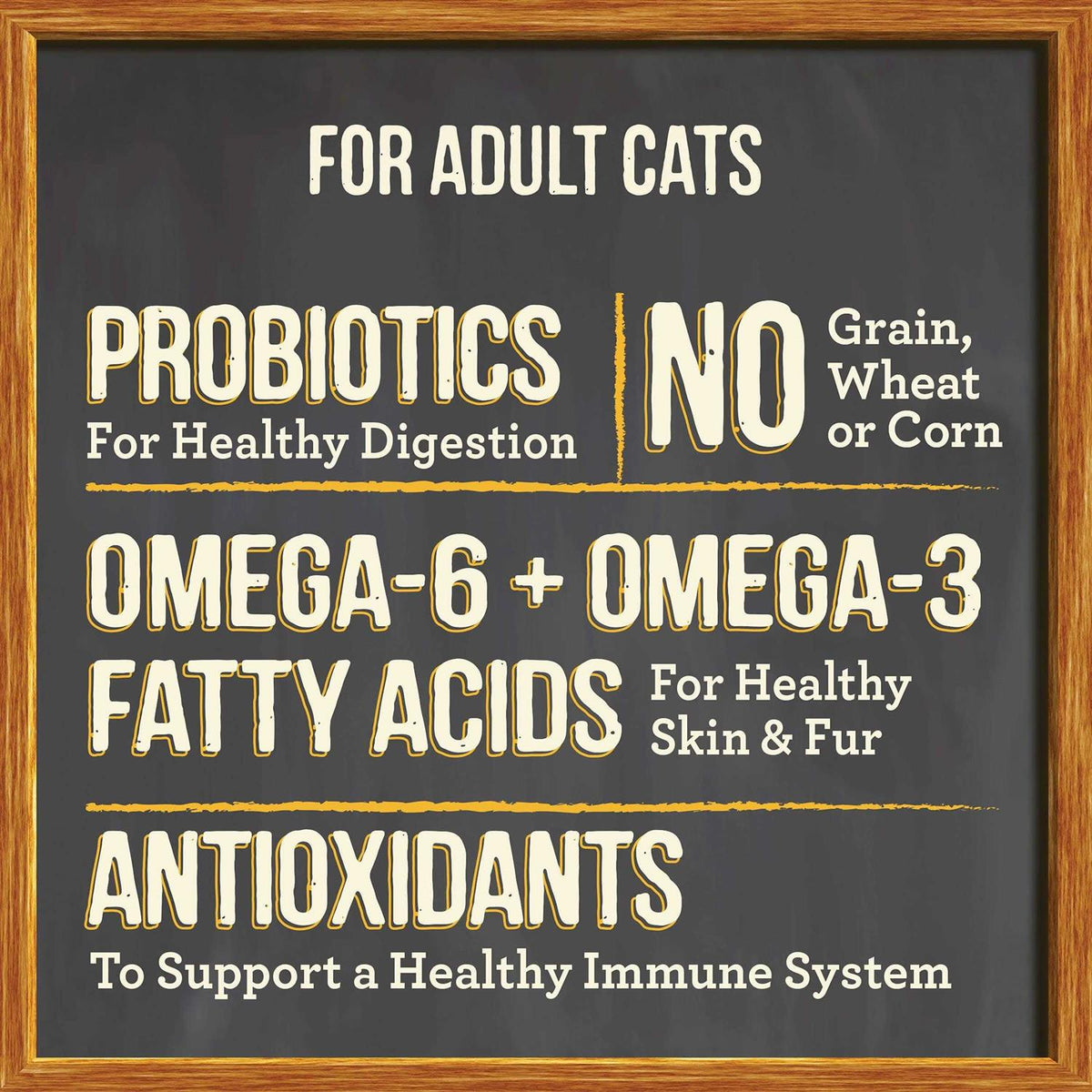Dry Cat Food R82383