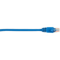 Blue 20-ft Cat5e Patch Cable 25-Pack S181611