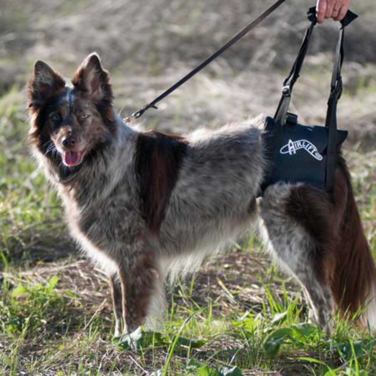 Support Harness F876687