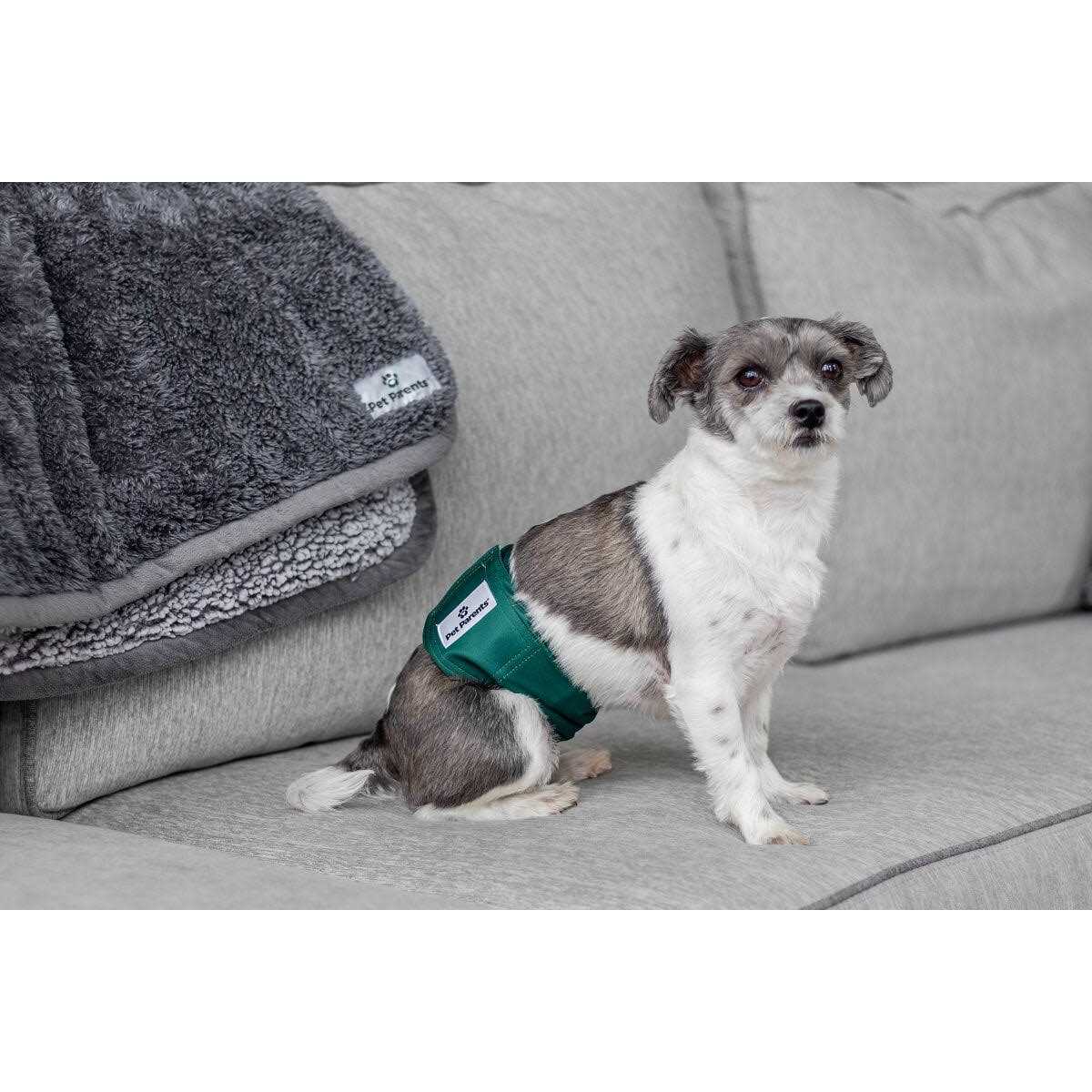 Washable Dog Belly Bands F7935