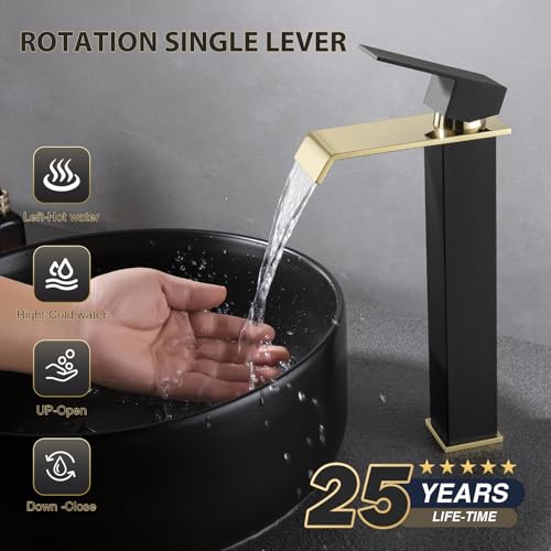 Black and Gold Single-Handle Bathroom Sink Faucet F8290