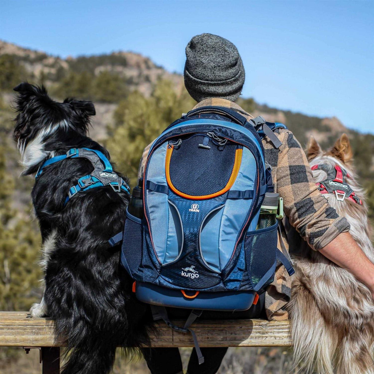 Dog Harness F899