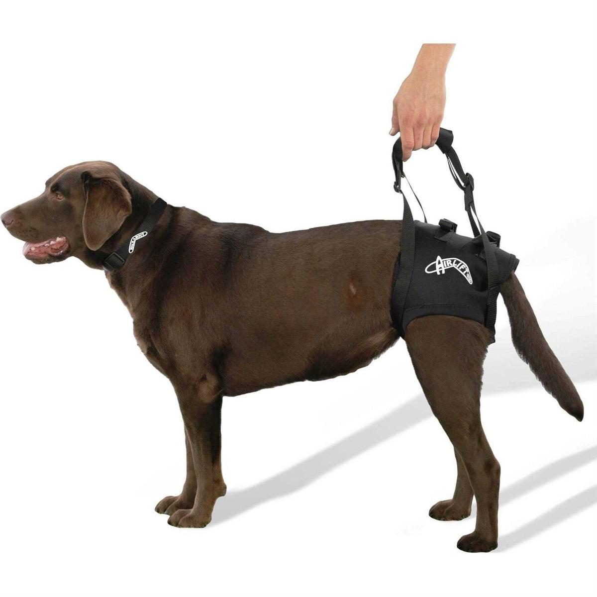 Support Harness F876687
