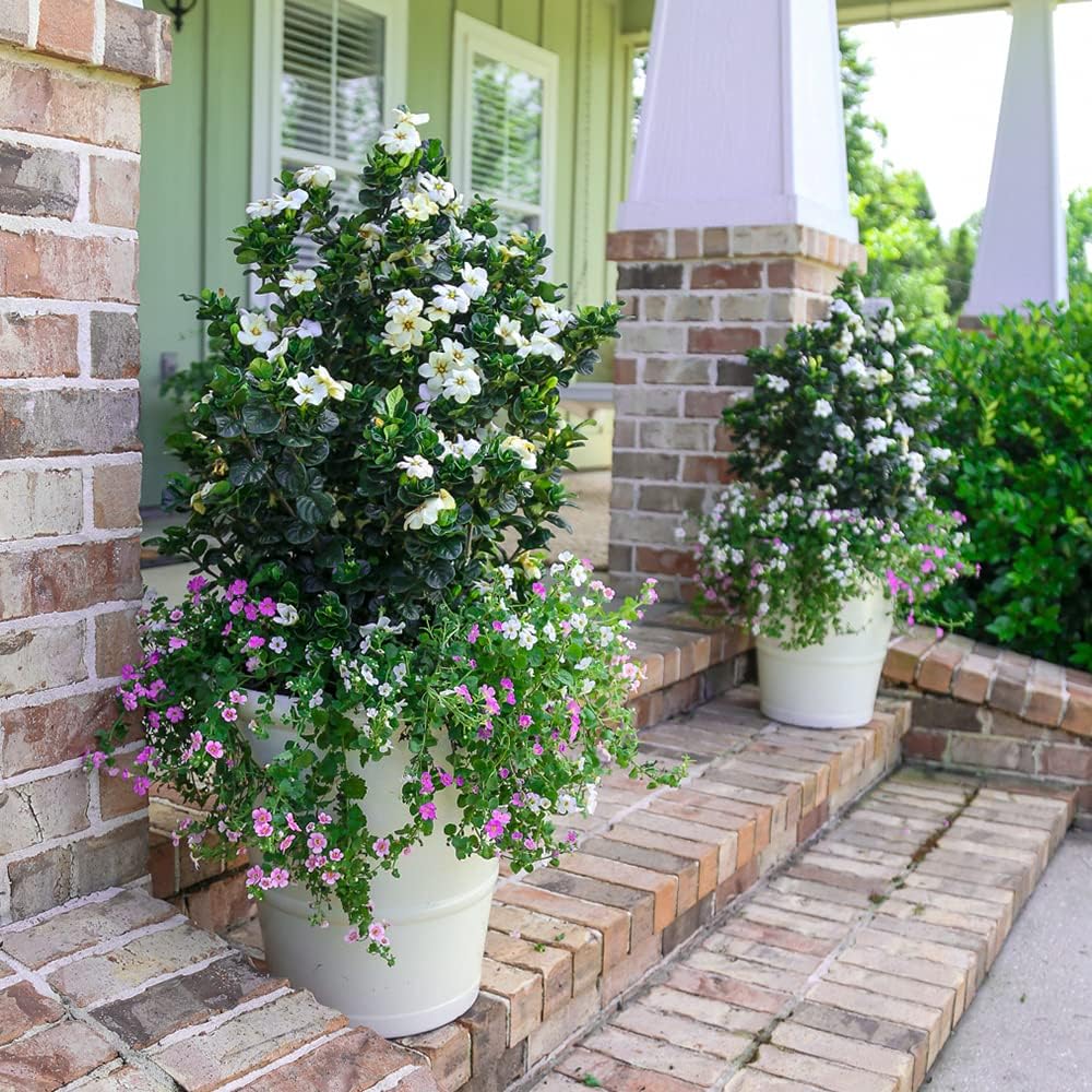 2.5 Quart White Gardenia U9926