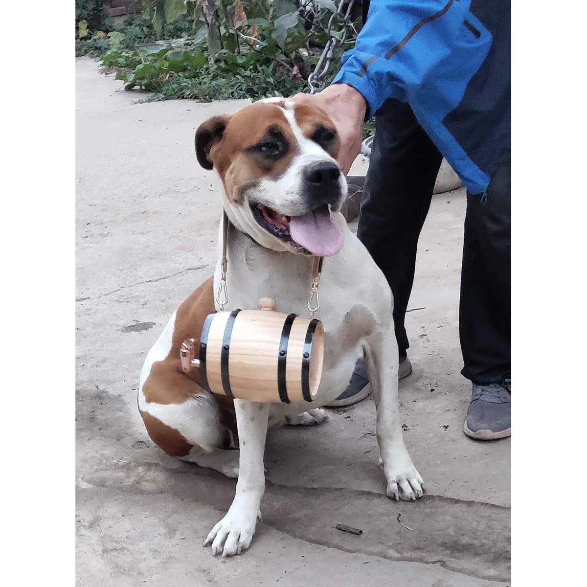 1/2 Liter Size Barrel Collar with Adjustable Hoops J63382