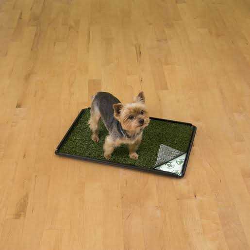 Indoor Turf Dog Potty Y37033