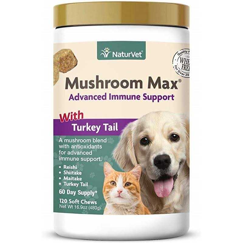 Mushroom Max Immune Support Soft Chews for Dogs & Cats K61543