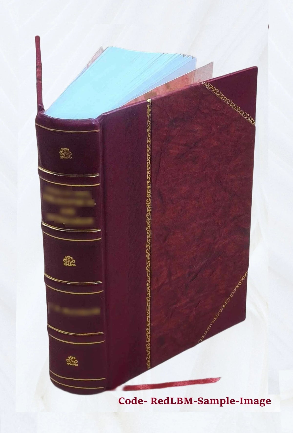 Leather Bound Book H241681
