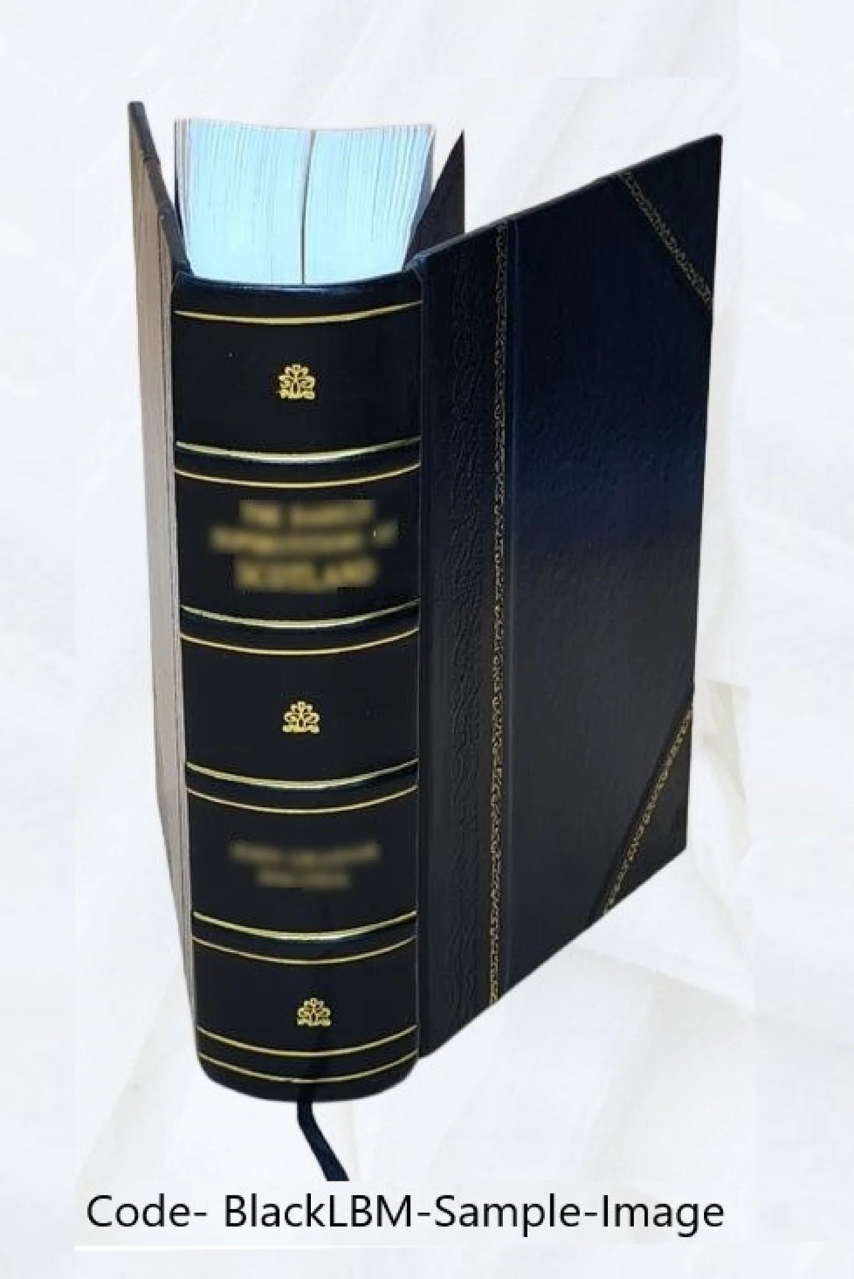 Leather Bound Book H241681