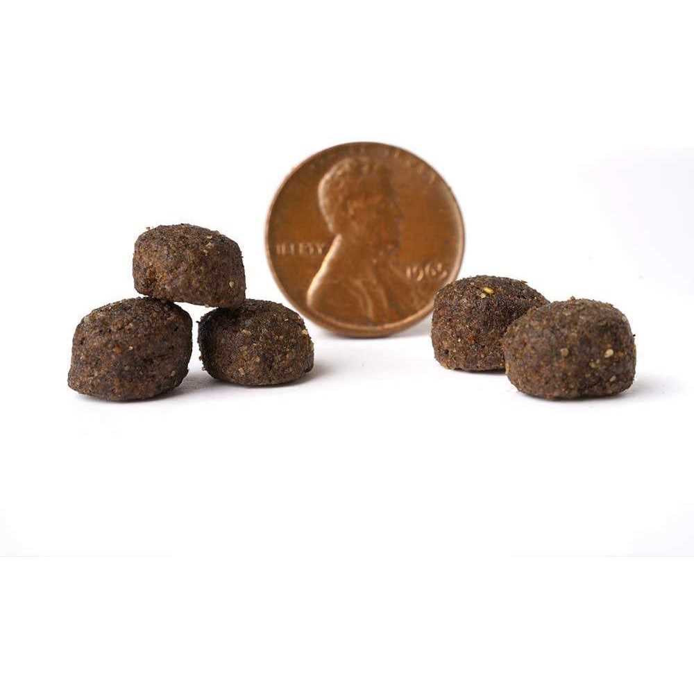 Grain Free Dry Dog Food F795