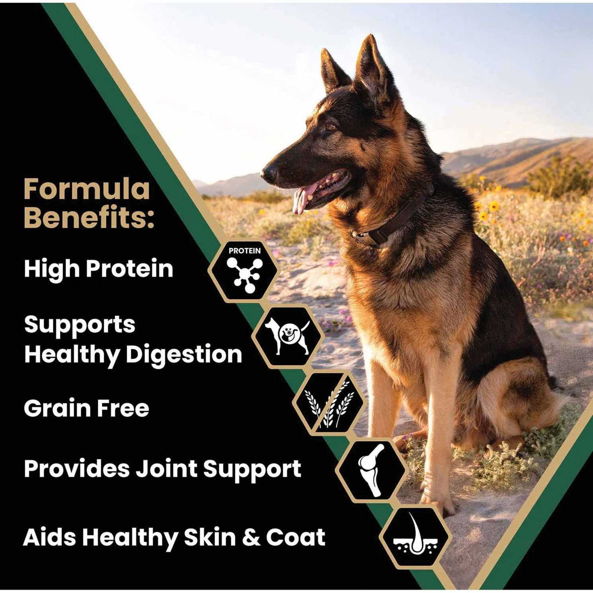 Grain Free Dry Dog Food F795
