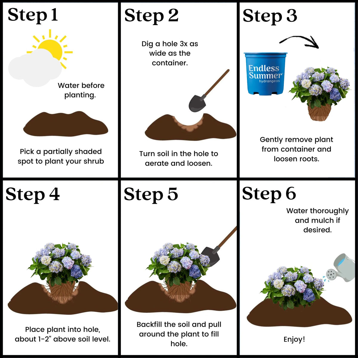 Hydrangea Live Shrub 2 Gallon P874741