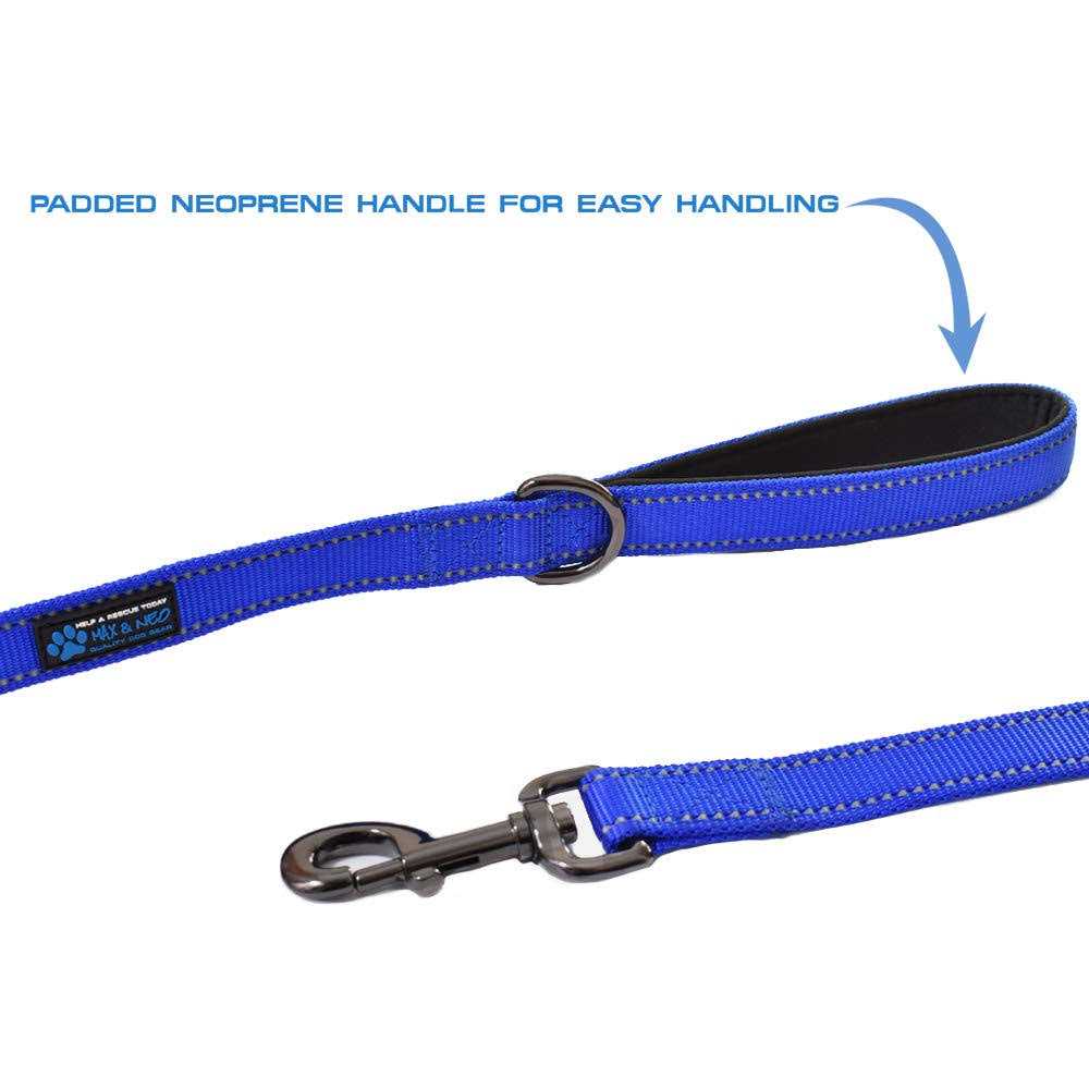 Double Handle Reflective Dog Leash H54840