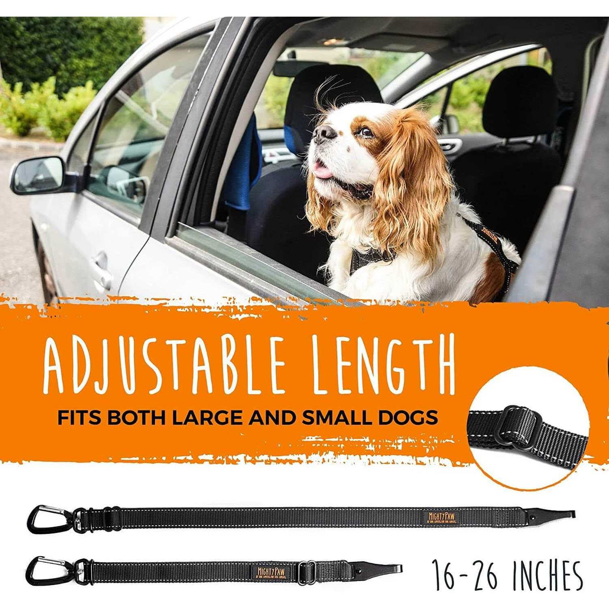 Dog Seat Belt Y164323